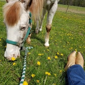 Meet your Posher, Jean